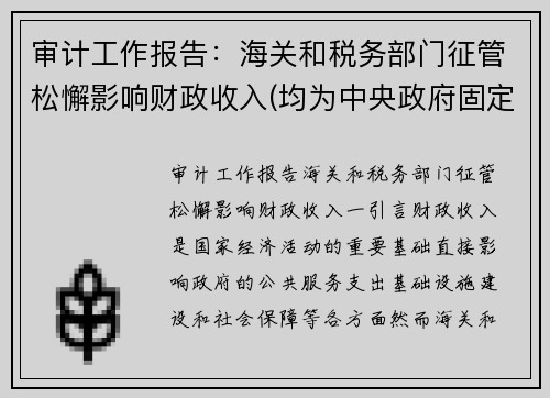 审计工作报告：海关和税务部门征管松懈影响财政收入(均为中央政府固定收入)